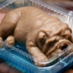 「かわいそう」「食べられない」タイの犬ゼリーが話題に　コピーも出回る人気ぶり