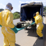西アフリカのエボラ流行時に赤十字職員が不正、損失7億円近く