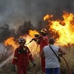 ギリシャ山火事死者91人に　アテネ近郊で発生