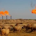 イラン産原油輸入「一時的に見合わせ」　石連の月岡会長