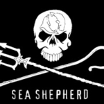日本の捕鯨再開へ「対応検討」＝世界の海からなくす－シー・シェパード