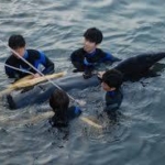 北九州の迷いクジラ　保護されるも船上で死亡