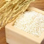 九州全体の米作況指数、８７の「不良」　１３年ぶり低水準