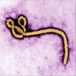 エボラ出血熱、死者2200人超　コンゴ