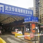 中国の新型肺炎で「人から人への感染排除できず」と武漢市