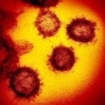 【速報】新型コロナウイルス　広島県内で初めて感染確認　広島市の男性