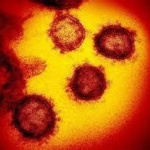 ヨーロッパで新型コロナウイルス“第２波”　各国で行動制限強まる