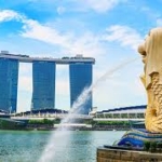 デング熱、空前の大流行　コロナ影響か　シンガポール