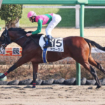 【中山６Ｒ・２歳新馬】アローワンが２着に２秒０差をつけるぶっちぎりＶ 津村明秀騎手「奥がありそう」