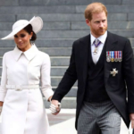 英王室がヘンリー王子＆メーガン妃を〝何をしでかすか分からない人〟扱い 王室評論家は称賛