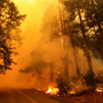 ヨセミテ国立公園近くで大規模火災 州知事が非常事態宣言