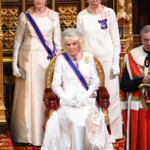 英王室に新たな人種差別疑惑 側近の貴族女性が辞任