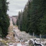 フィンランド、ロシア国境にフェンス建設開始