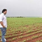 中国市場を求める「緑の黄金」　農業国パラグアイ、米中対立の渦中