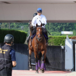 2006年再現なら「ファン投票1位の武豊」＝井内利彰さん